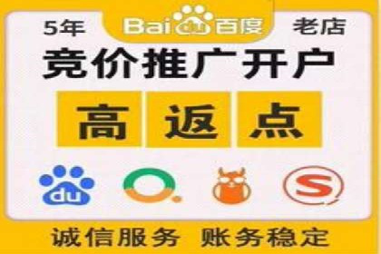 竞价推广中的着陆页策略：成功案例解读